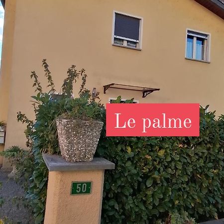 Le Palme Ξενοδοχείο Monteceneri Εξωτερικό φωτογραφία