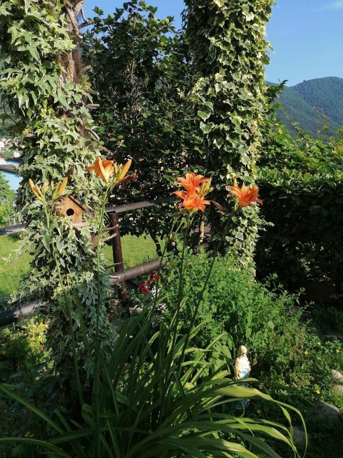 Le Palme Ξενοδοχείο Monteceneri Εξωτερικό φωτογραφία