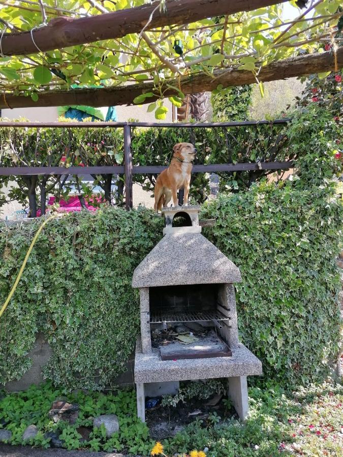 Le Palme Ξενοδοχείο Monteceneri Εξωτερικό φωτογραφία