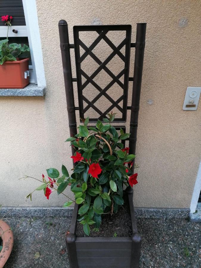 Le Palme Ξενοδοχείο Monteceneri Εξωτερικό φωτογραφία